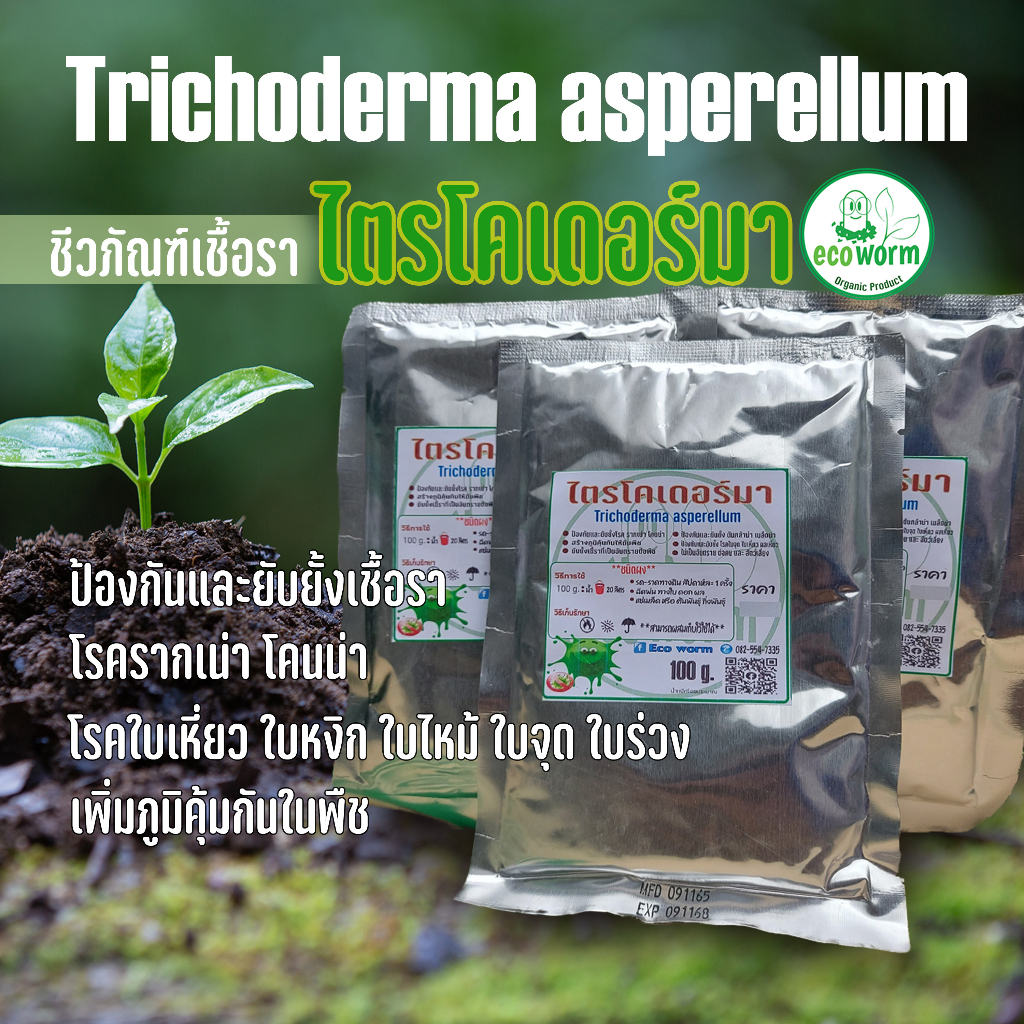 ไตรโคเดอร์มา-richoderma-asperellum-ป้องกันและรักษาโรคพืช-ชนิดผง-หัวเชื้อ-100-g-มีโค๊ดลด