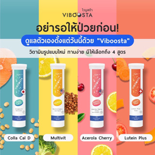 VIBOOSTA ไวบูสต้า วิตามินเม็ดฟู่ ขนาด 20 เม็ด (4 สี 4 สูตร ให้เลือก)