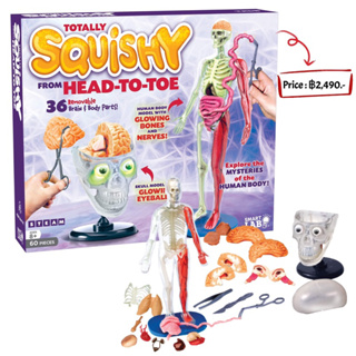 SmartLab Toys Totally Squishy from Head-to-Toe - 60 Pieces - 36 Removable Parts - 12" Human Body Model &amp; Stand