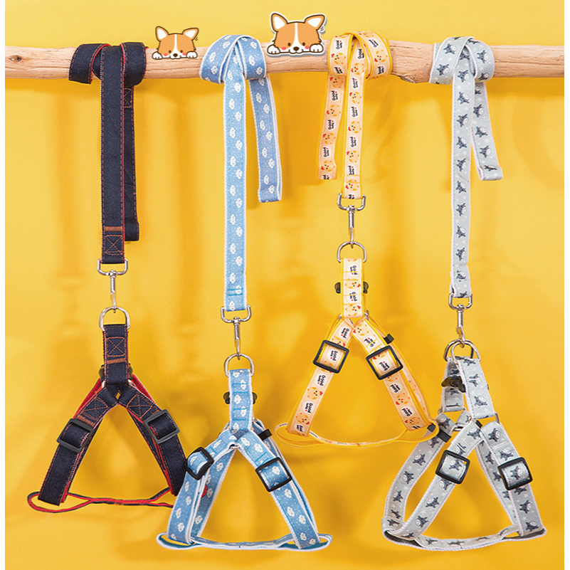 สายจูงสุนัข-ยาว120cm-ลายสุดน่ารัก-เชือกจูงสุนัข-harness-leash