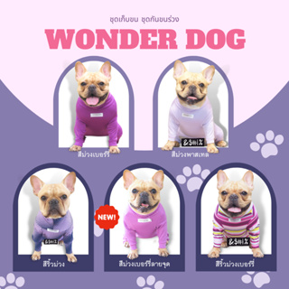 ภาพหน้าปกสินค้าชุดเก็บขน wonder dog เสื้อสุนัข เสื้อหมา เสื้อแมว ชุดกันขนร่วงสุนัข ชุดสุนัข ชุดหมาชุดแมว ชุดสัตว์เลี้ยง ที่เกี่ยวข้อง