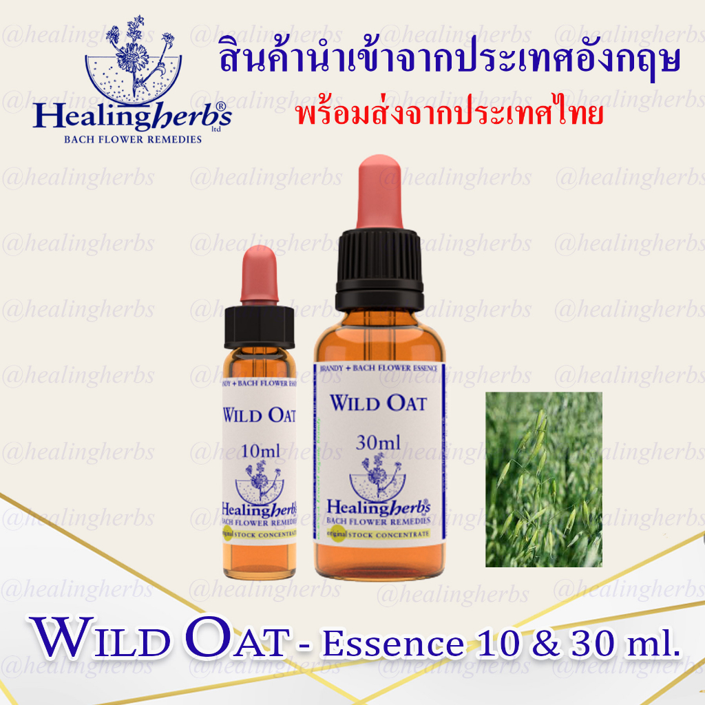 (Wild Oat) Bach Flower Essence (droppler) ขนาด 10 ml. หรือ 30 ml. ของ