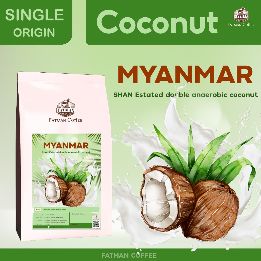 เมล็ดกาแฟ-myanmar-coconut