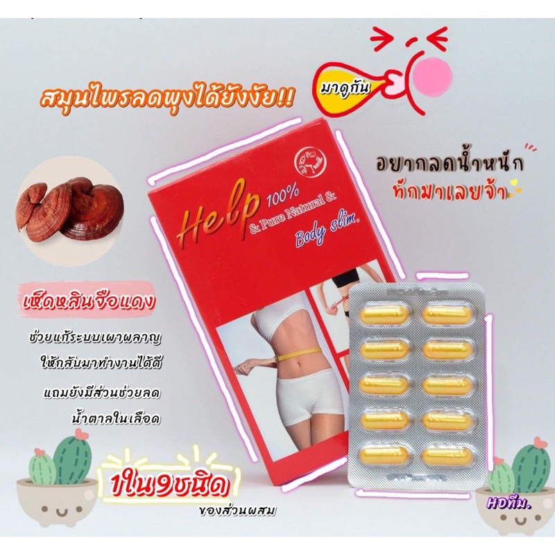 เฮล์ปบอดีสลิม-help-body-slim-490บาท