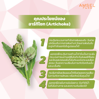 ภาพขนาดย่อของภาพหน้าปกสินค้าAmsel Artichoke & Dandelion 550 mg. แอมเซล อาร์ทิโชก & แดนดีไลออน 550 มก (30 แคปซูล) จากร้าน amsel.official บน Shopee ภาพที่ 4