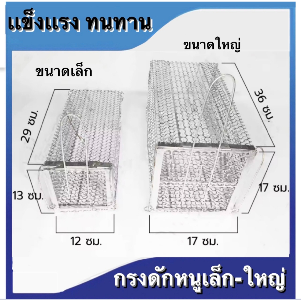 กรงดักหนูสปริง2ตัวโครงหนา-กรงดักหนู-กรงดักหนูแบบมีโครง-กรงดักหนูสปริงคู่-กรงดักหนูนา