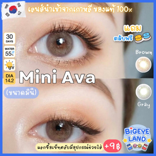 คอนแทคเลนส์ Mini Ava Brown / Gray (Kitty Kawaii) ขนาดมินิ 🌷 ขายดีมาก สายฝอ