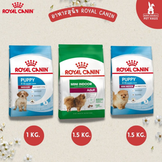 Royal Canin MINI INDOOR PUPPY 1-1.5 kg อาหารเม็ดลูกสุนัข พันธุ์เล็ก อายุ 2-10 เดือน อาหารเม็ดสุนัขโต  อายุ 10 เดือน-8 ปี