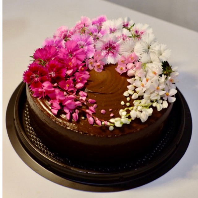 ดอกผีเสื้อออร์แกนิก-60-ดอก-ดอกไม้กินได้-แต่งจาน-แต่งเค้ก-ส่งตรงจากฟาร์มมาตรฐาน-gap