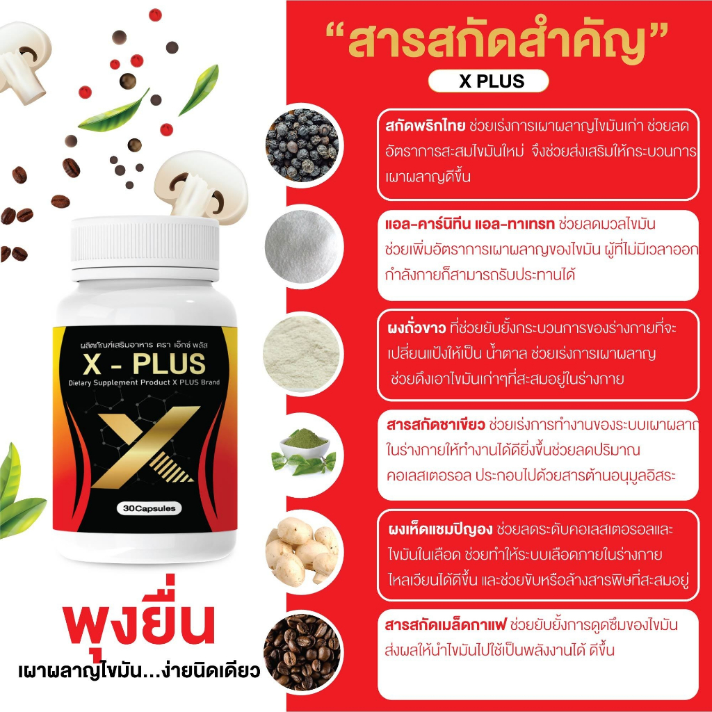 x-plus-s-plus-เพิ่มการเผาพลาญไขมันเก่าและใหม่