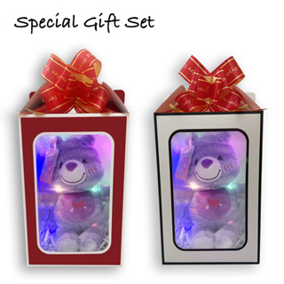 ตุ๊กตา แคร์แบร์ สีม่วง พร้อมกล่องของขวัญ มีไฟเปิดปิดได้ / Care Bears / Bubby Bearly 10 นิ้ว