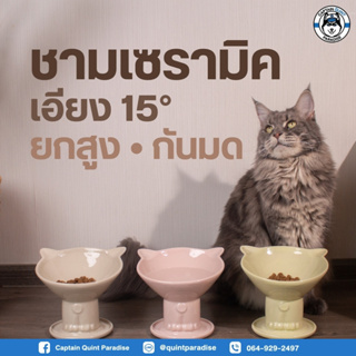 ชามแมวเซรามิก Yumiko Hand Crafted Ceramic Pet Bowl