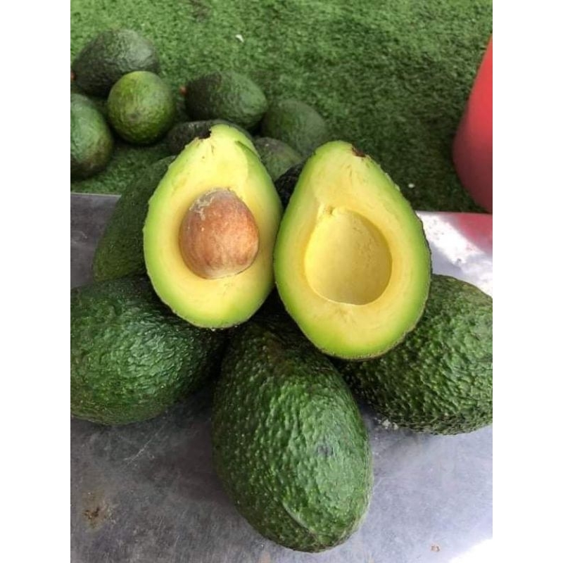 แฮสส์ Hass (รอบสุดท้ายปิดฤดู) ราชา Avocado 🥑 พันธุ์อร่อยที่สุด อ่านก่อน ...