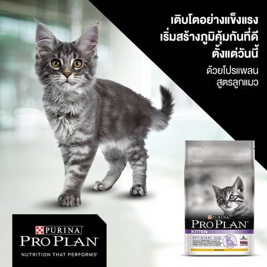 แบ่งขาย-proplan-อาหารแมว-ครบทุกสูตร-สูตรลูกแมว-และแมวโต-ทุกสายพันธุ์-มีสินค้าพร้อมส่งค่ะ