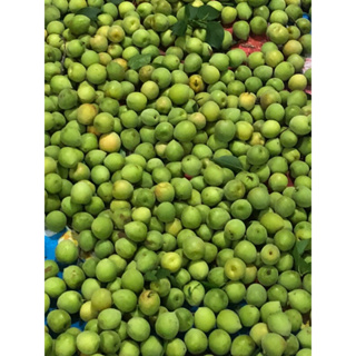 ภาพขนาดย่อของภาพหน้าปกสินค้าบ๊วยสด สำหรับดองเหล้า ดองเค็ม ทำไซรัป หรือจิ้มพริกเกลือขนาด1กิโลกรัมค่ะ จากร้าน freshfruit.noot บน Shopee