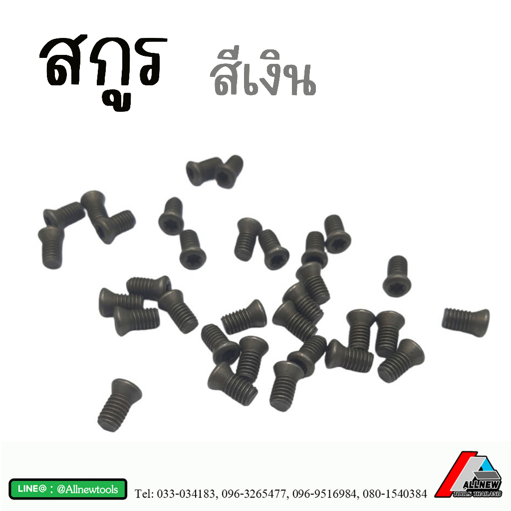 น็อต-สกูรดาว-สกูรยึดมีดกลึง-screw-torx-cutting-tools-สกูรล็อคเม็ดมีด-สีเงิน-สกูรหัวดาว