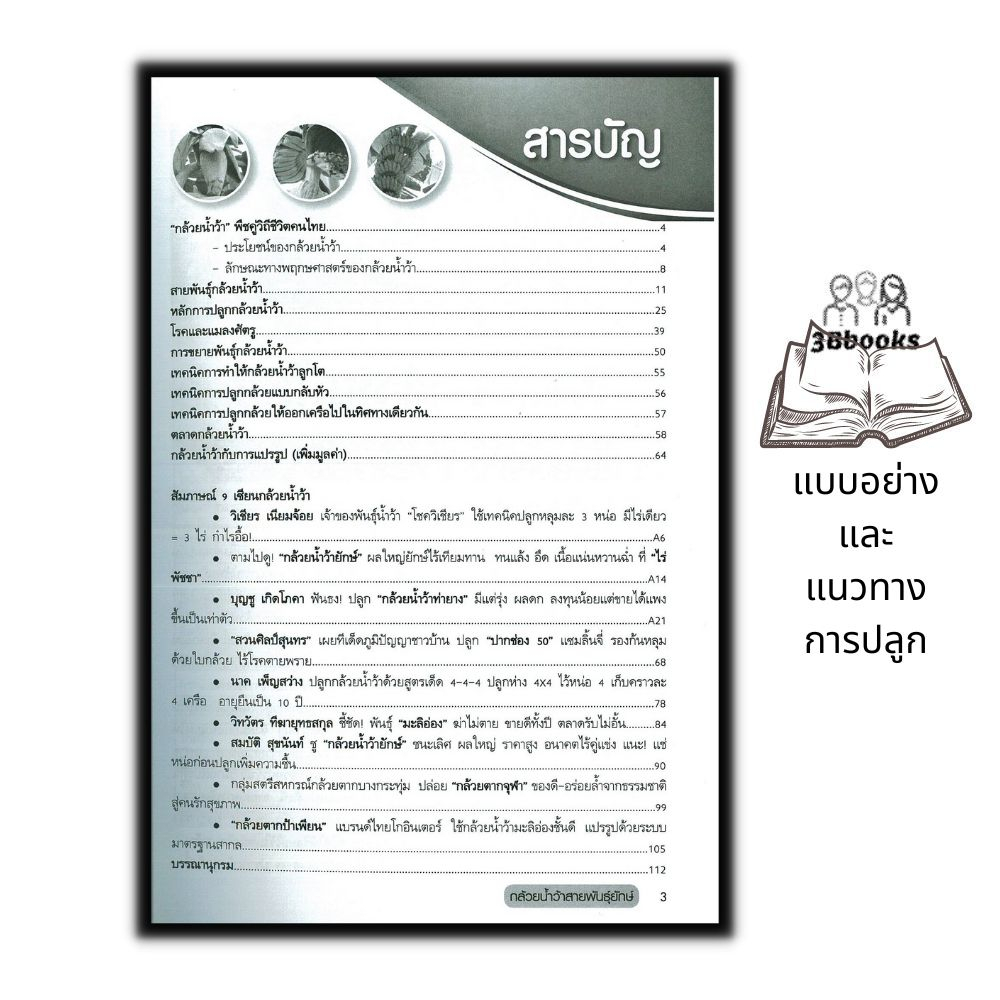 หนังสือ-กล้วยน้ำว้าสายพันธุ์ยักษ์-การเกษตร-พืชและการเกษตร-การปลูกกล้วย-พืชเศรษฐกิจ