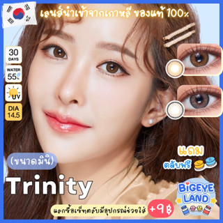 คอนแทคเลนส์ Trinity Brown / Gray (Kitty Kawaii) ขนาดมินิ 🌷 ลายใหม่ มาแรง ขายดีมาก