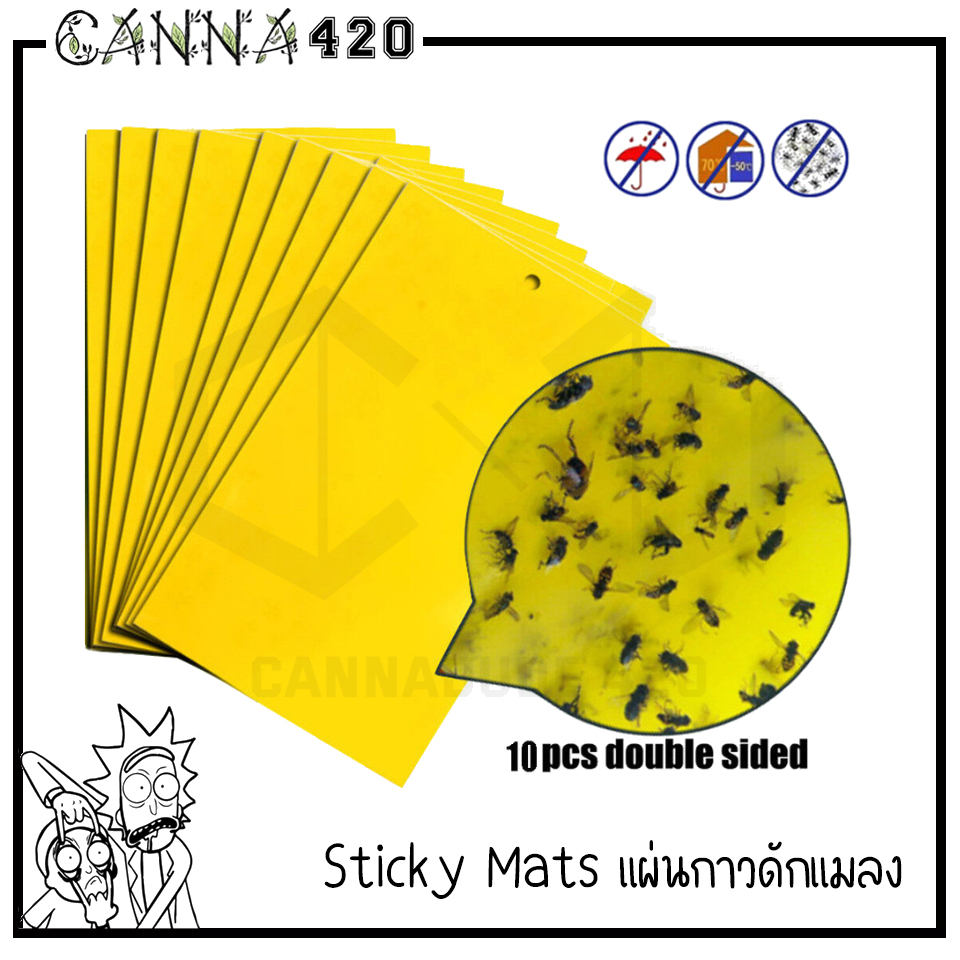 sticky-mat-10x20-cm-20x15-cm-ติดหัวยาก-แผ่นกาวดักแมลง-ฝุ่น-แผ่นกาวดักฝุ่น-ทนแดด-กันฝุ่น-ไม่มีสารเคมี-แผ่นดักแมลง