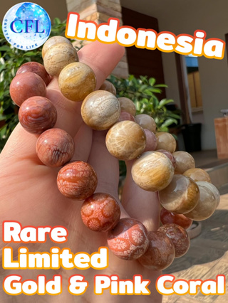 Gold & Pink Coral Fossil กำไลฟอสซิลปะการังแท้ ขนาดเม็ด(11-12 มม.) เสริมมุมมองในแง่ดี สร้อยข้อมือ นำโชค มงคล เครื่องราง