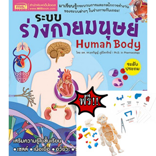 ระบบร่างกายมนุษย์ Human Body ระดับประถม ฟรี โมเดลร่างกายมนุษย์+การ์ดคำศัพท์ สนพ.MIS