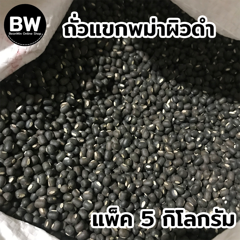 beanwin-ถั่วแขกพม่าผิวดำ-สำหรับเพาะถั่วงอก-แพ็ค-5-กก-อัตรางอกดี-ถั่วงอก-ถั่วเขียว-ถั่วแขก