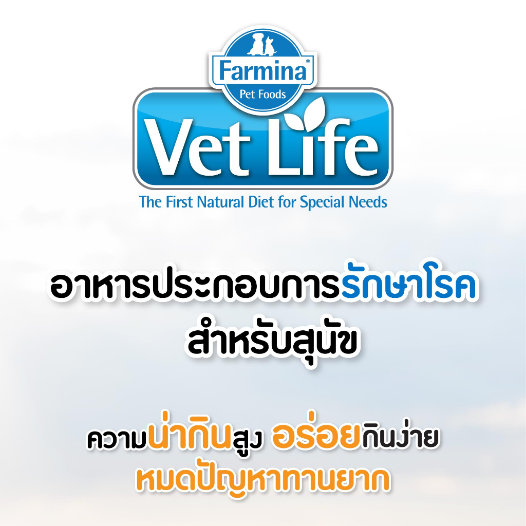 vet-life-เว็ท-ไลฟ์-hp-derma-for-dog-สำหรับสุนัข-ที่มีอาการแพ้อาหาร-สุนัขที่จำกัดอาหาร-ผิวหนังอักเสบ-2-kg