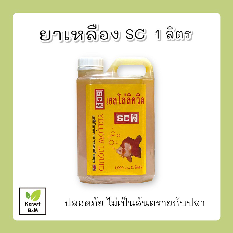 ภาพหน้าปกสินค้าเหลือง SC เยลโล่ลิควิด 1 ลิตร ฆ่าเชื้อแบคทีเรีย เน่าเปื่อย ตกเลือด บาดแผล