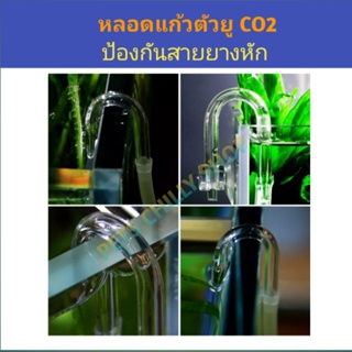 หลอดแก้วตัวยู CO2 ป้องกันสายหัก