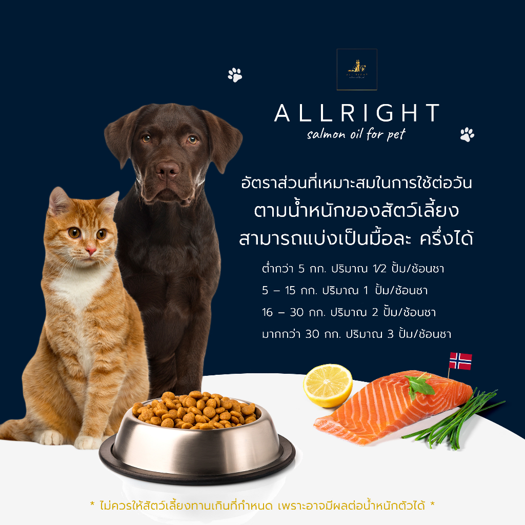 ภาพสินค้าALL RIGHT น้ำมันปลาแซลมอนแท้ Premium สำหรับสัตว์เลี้ยง บำรุงขน ผิวหนัง สุนัข เบื่ออาหาร หมา แมว Salmon Oil for Pet 100% จากร้าน alright0634166325 บน Shopee ภาพที่ 5