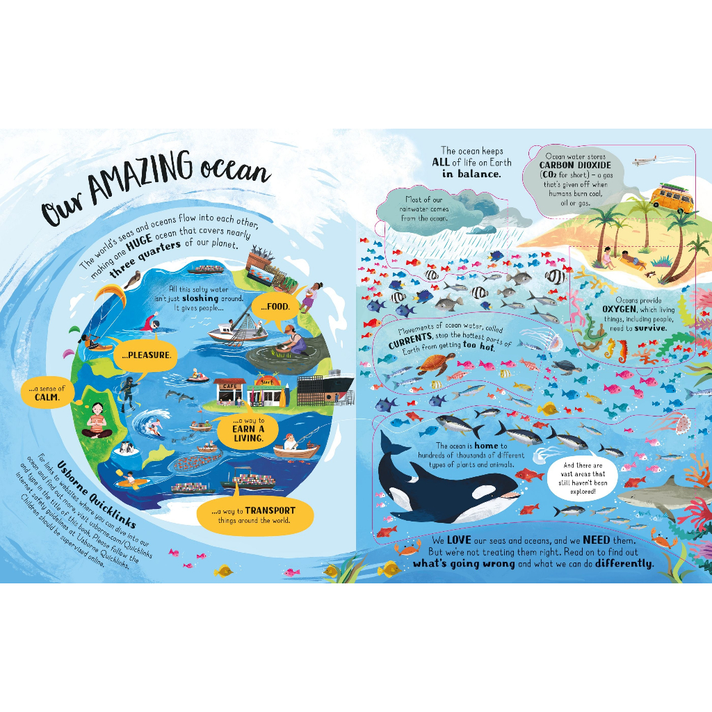 dktoday-หนังสือ-usborne-lift-the-flap-looking-after-our-ocean-age-6
