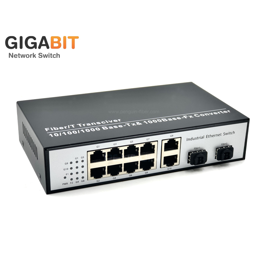 Gigabit Network Switch 8 Port + 2GE + 2 SFP | Shopee Thailand