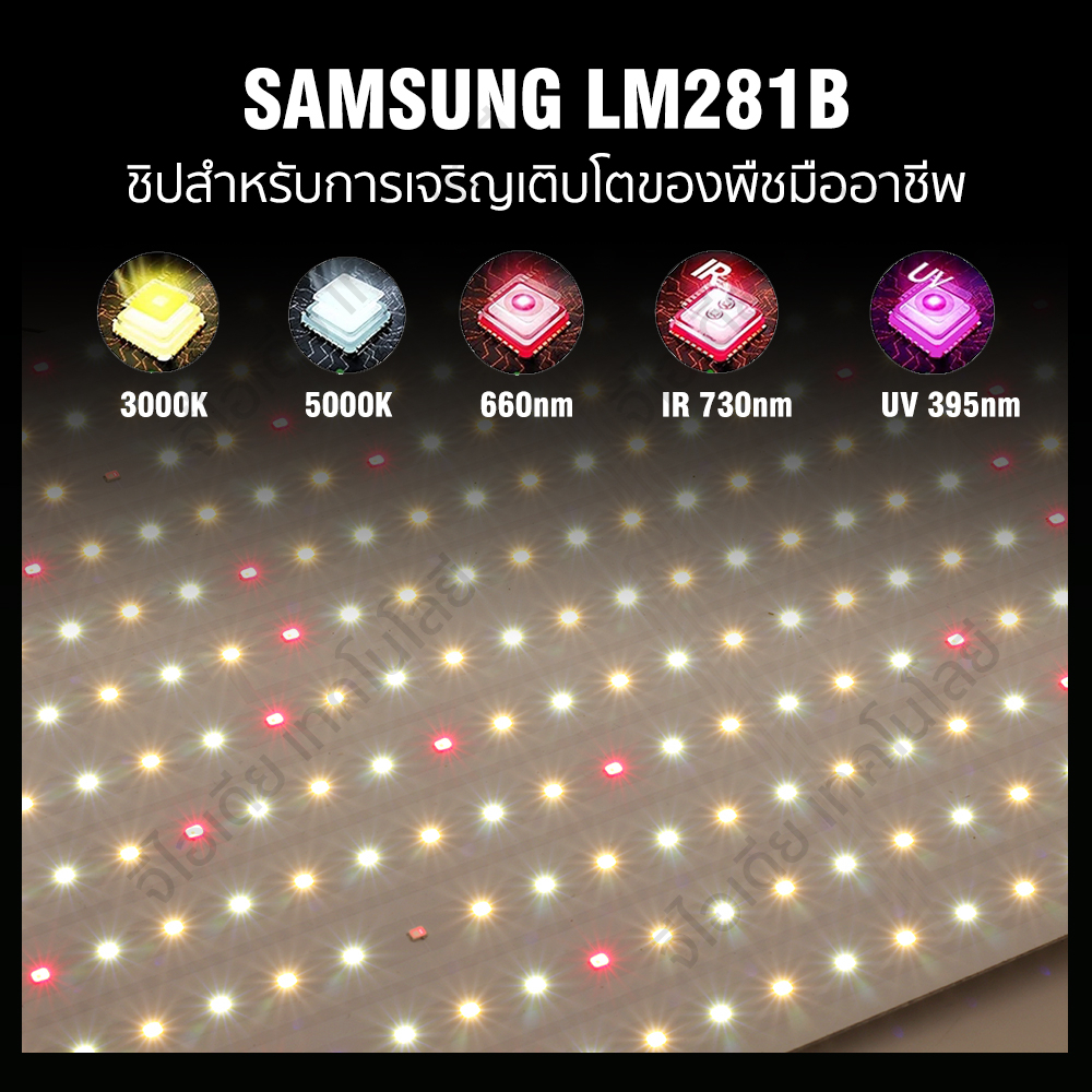 Samsung QUANTUM LED Grow Light 65W 110W Full Spectrum ไฟปลูกกัญชา อุปกร ...