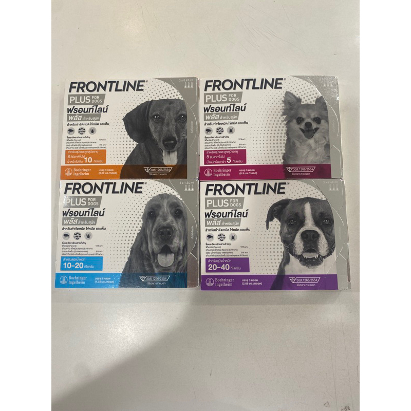 frontline-for-dog-สำหรับสุนัข