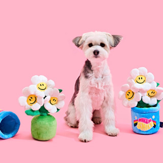 (พร้อมส่ง) wiggle wiggle pet nose work toy - smile we love ดอกไม้