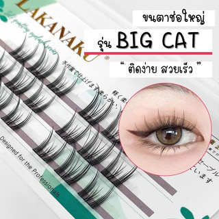 ขนตาปลอม รุ่น ช่อใหญ่ Big cat ยาว 10-13mm 18 ช่อ สายแบ๊ว