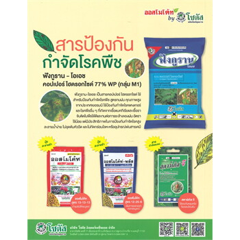 หนังสือ-รู้ทันโรคและศัตรูแคคตัส-รู้ทันโรคพืช-ผู้เขียน-ดร-สรินนา-อ่ำรุ่ง-สนพ-บ้านและสวน-หนังสือ-บ้านและสวน-อ่านเพลิน