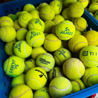 สินค้า ลูกเทนนิสมือสอง ใช้ฝึก ซ้อม ตีเล่น tennis wilson st.james dunlop fort