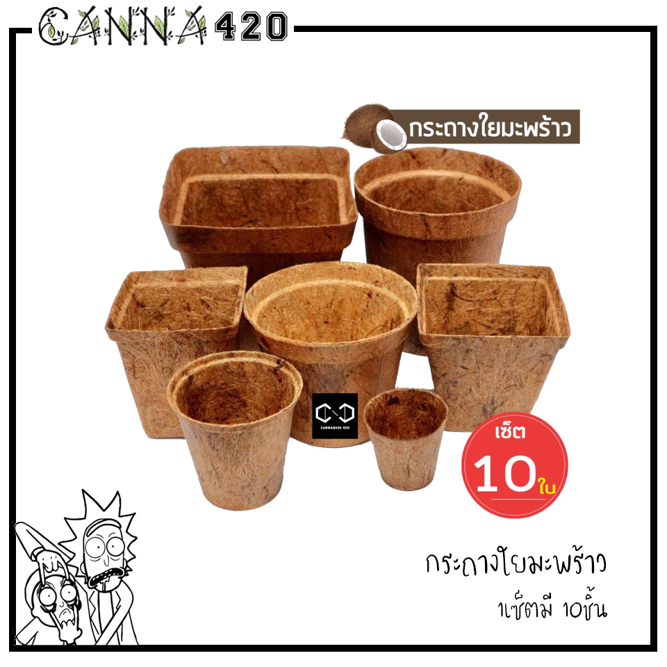 แพ็ค-10-ชิ้น-กระถางต้นไม้ใยมะพร้าว-กระถางใยมะพร้าว-กระถาง-gallon-pot-coco-pot