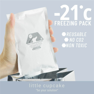 สินค้า small - Freezing Pack -21 ํC น้ำแข็งเทียม ❄️ เก็บความเย็น ไอศครีม นมแม่ ขนส่ง