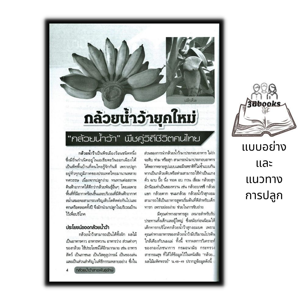 หนังสือ-กล้วยน้ำว้าสายพันธุ์ยักษ์-การเกษตร-พืชและการเกษตร-การปลูกกล้วย-พืชเศรษฐกิจ