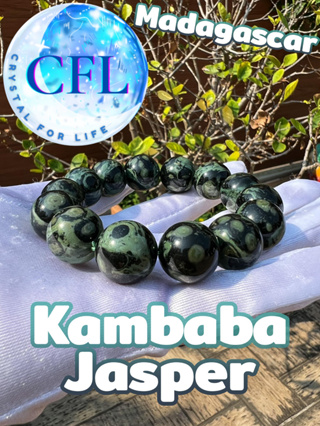 Kambaba / Crocodile Jasper กำไลหินแท้เคมบาบาแจสเปอร์ แจสเปอร์จระเข้ สีเขียว ขนาดเม็ดหิน(16-16.5 มม.) หินแห่งความกล้าหาญ