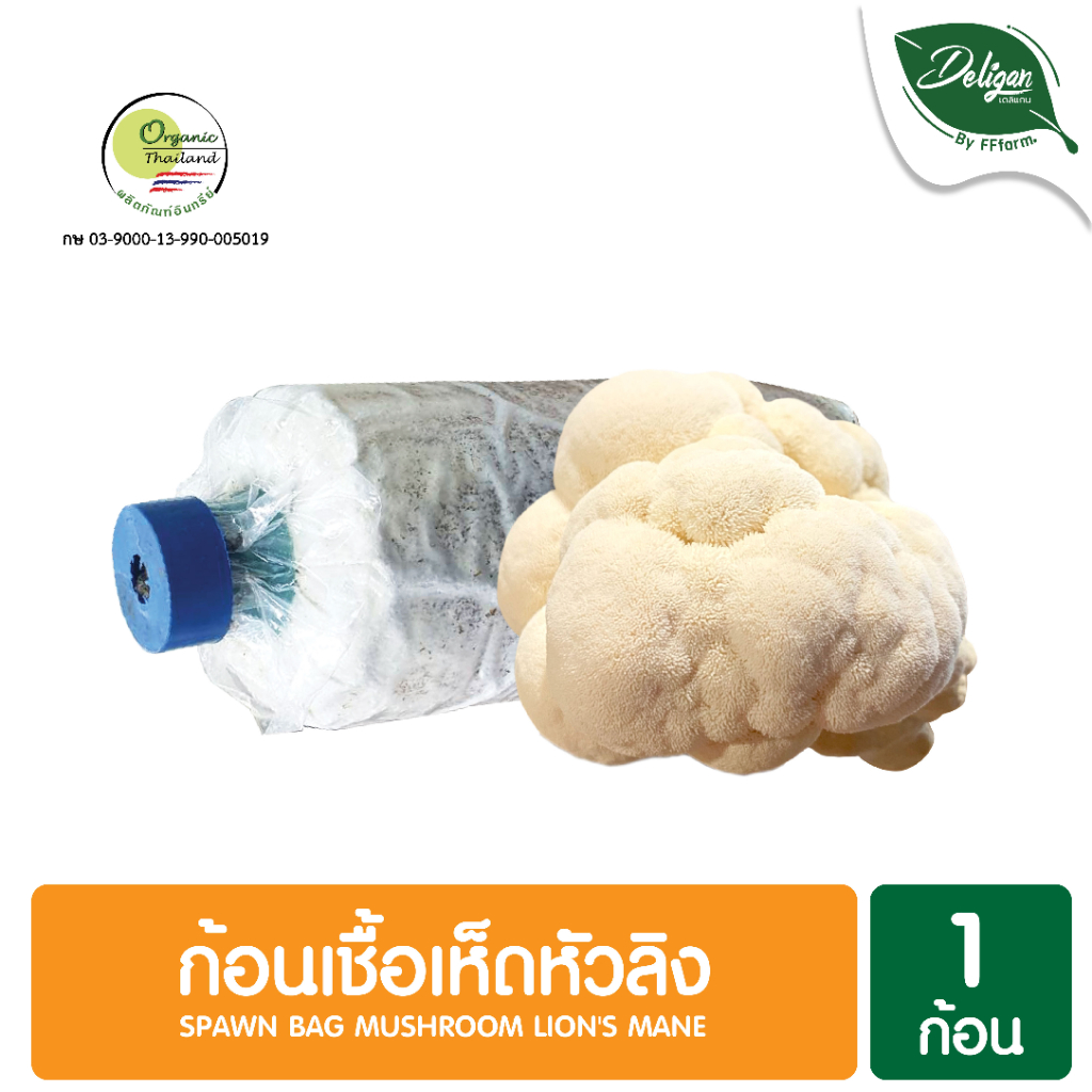 ก้อนเชื้อเห็ดหัวลิง 1 ก้อน Spawn Bag Mushroom Lion's Mane Shopee Thailand