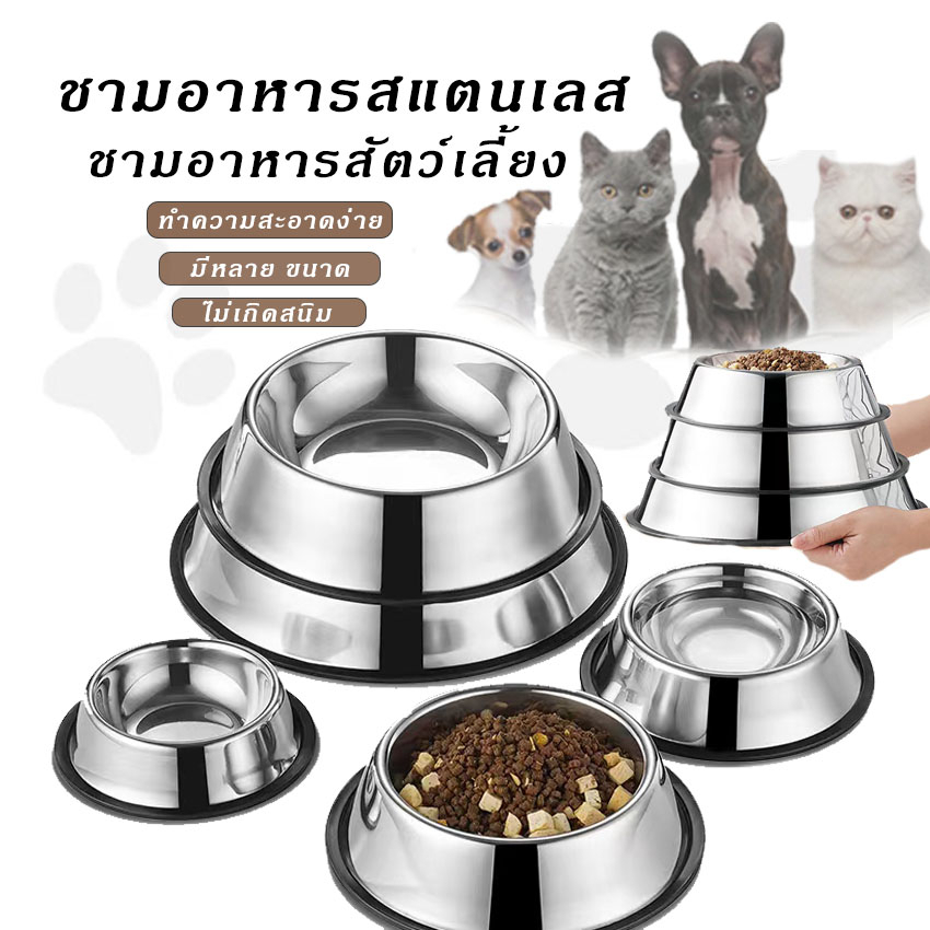 ชามอาหารสัตว์เลี้ยง-สเตนเลส-ชามอาหารหมา-ชามอาหารแมว-pet-food-bowl-ถ้วยแมว-สุนัข-ที่ให้อาหารแมว