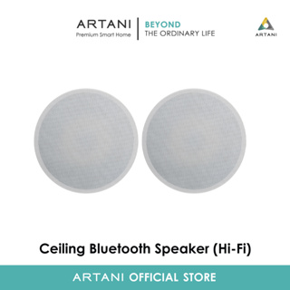 Bluetooth Speaker (HIFI)