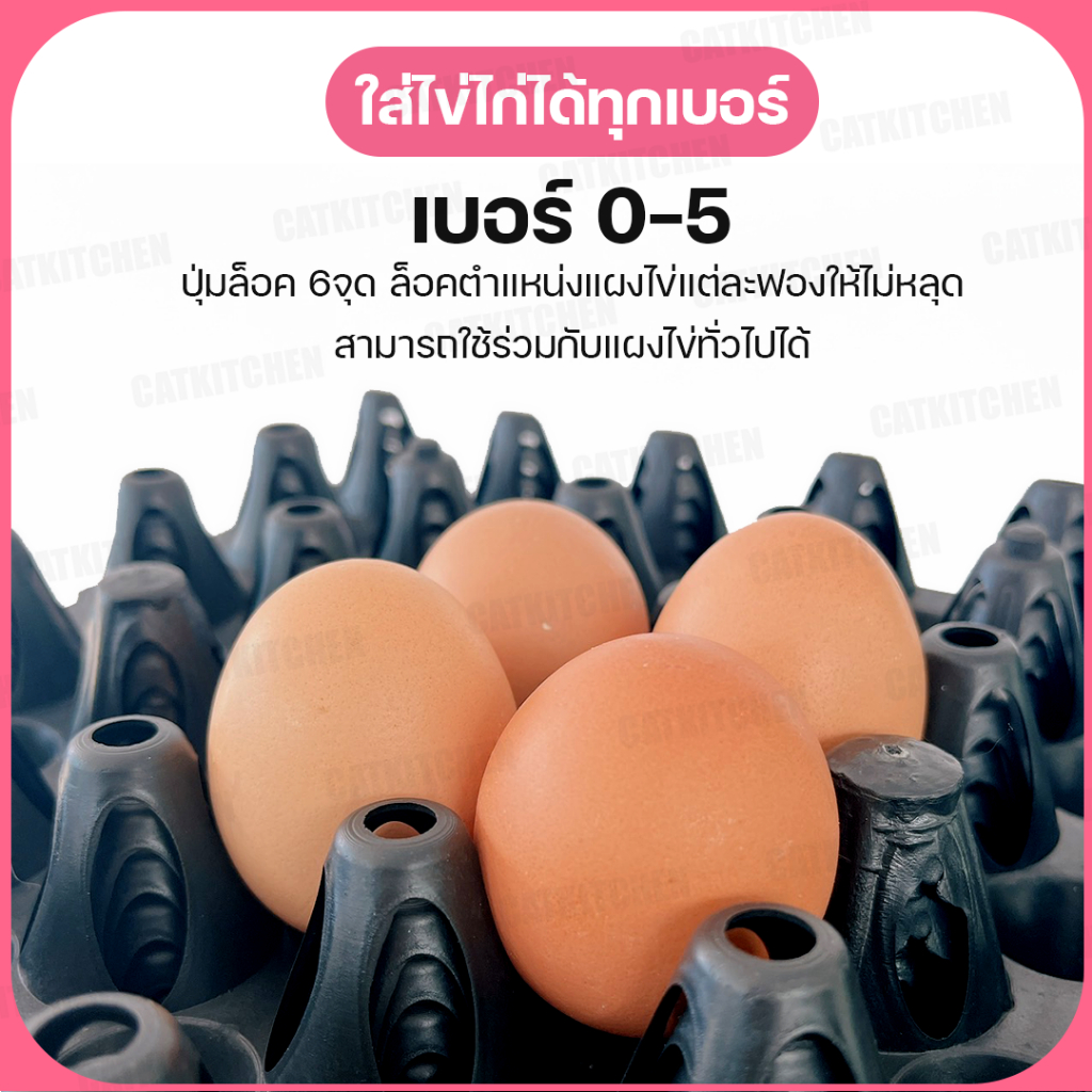 ส่งฟรี-แผงไข่-catkitchen-ถาดไข่-แผงไข่พลาสติก-แผงไข่ไก่-แผงไข่-cookingrun-รางถาดใข่พลาสติก-30-ฟอง-ใส่ไข่ได้ทุกเบอร์