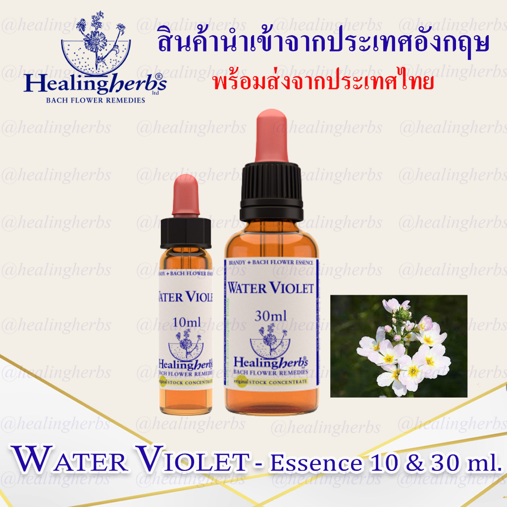 (Water Violet) Bach Flower Essence (droppler) ขนาด 10 ml. หรือ 30 ml