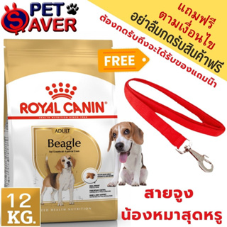 ภาพหน้าปกสินค้า**มีของ สั่งเลย** Royal Canin Beagle Adult 12Kg  อาหารเม็ด พันธุ์ บีเกิ้ล 12 kg ซึ่งคุณอาจชอบราคาและรีวิวของสินค้านี้