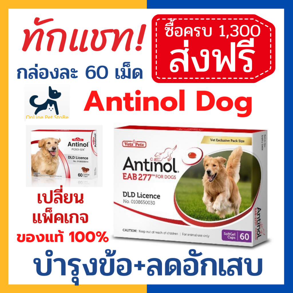 ราคาและรีวิวหมดอายุ 9/2024 +บำรุง ข้อ+ Antinol dog แอนทินอล สุนัข 60 เม็ด/กล่อง เลขทะเบียนอาหารสัตว์ 0108550014