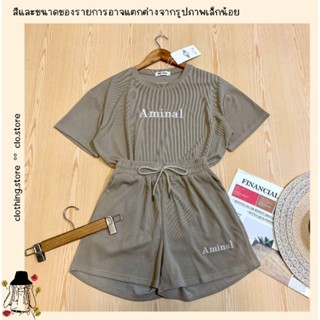 🎋สอบถามก่อนชำระเงิน | Aminal งานป้ายห้อย เสื้อคอกลมแขนสั้นทรงโอเวอร์ไซส์มาคู่กับกางเกงขาสั้นปักลาย